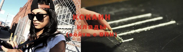ГАЛЛЮЦИНОГЕННЫЕ ГРИБЫ Магас