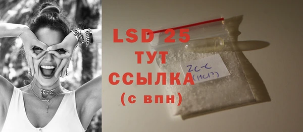 ГАЛЛЮЦИНОГЕННЫЕ ГРИБЫ Магас