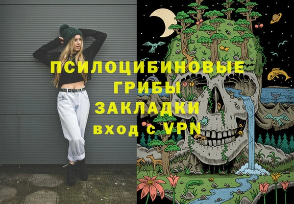 ГАЛЛЮЦИНОГЕННЫЕ ГРИБЫ Магас
