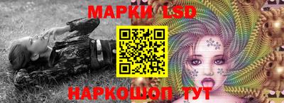 гашик Кимры