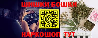 дживик Бийск