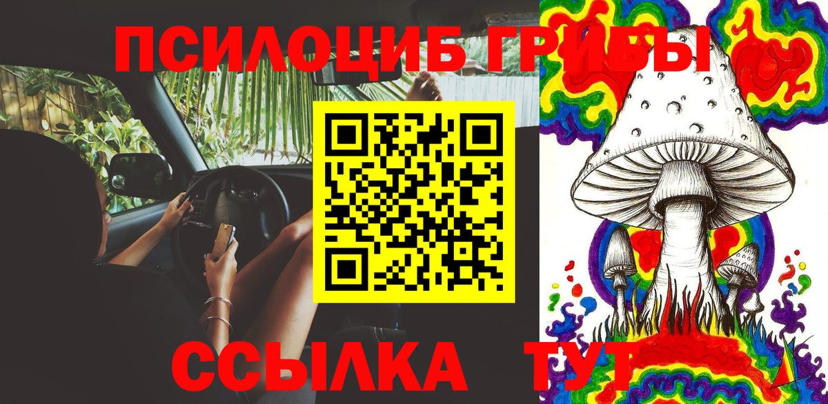 Галлюциногенные грибы MAGIC MUSHROOMS  Чайковский 