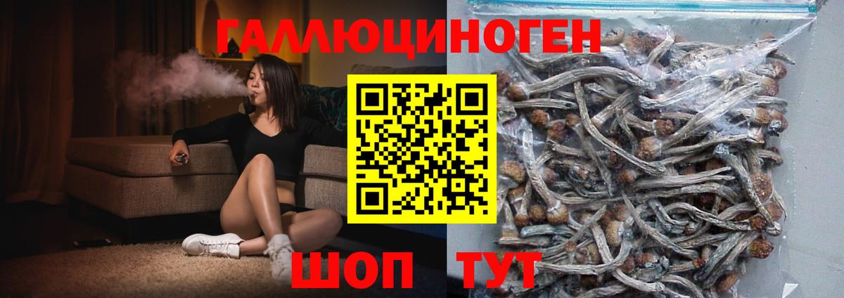 Чайковский  Галлюциногенные грибы Cubensis  Вход с VPN 